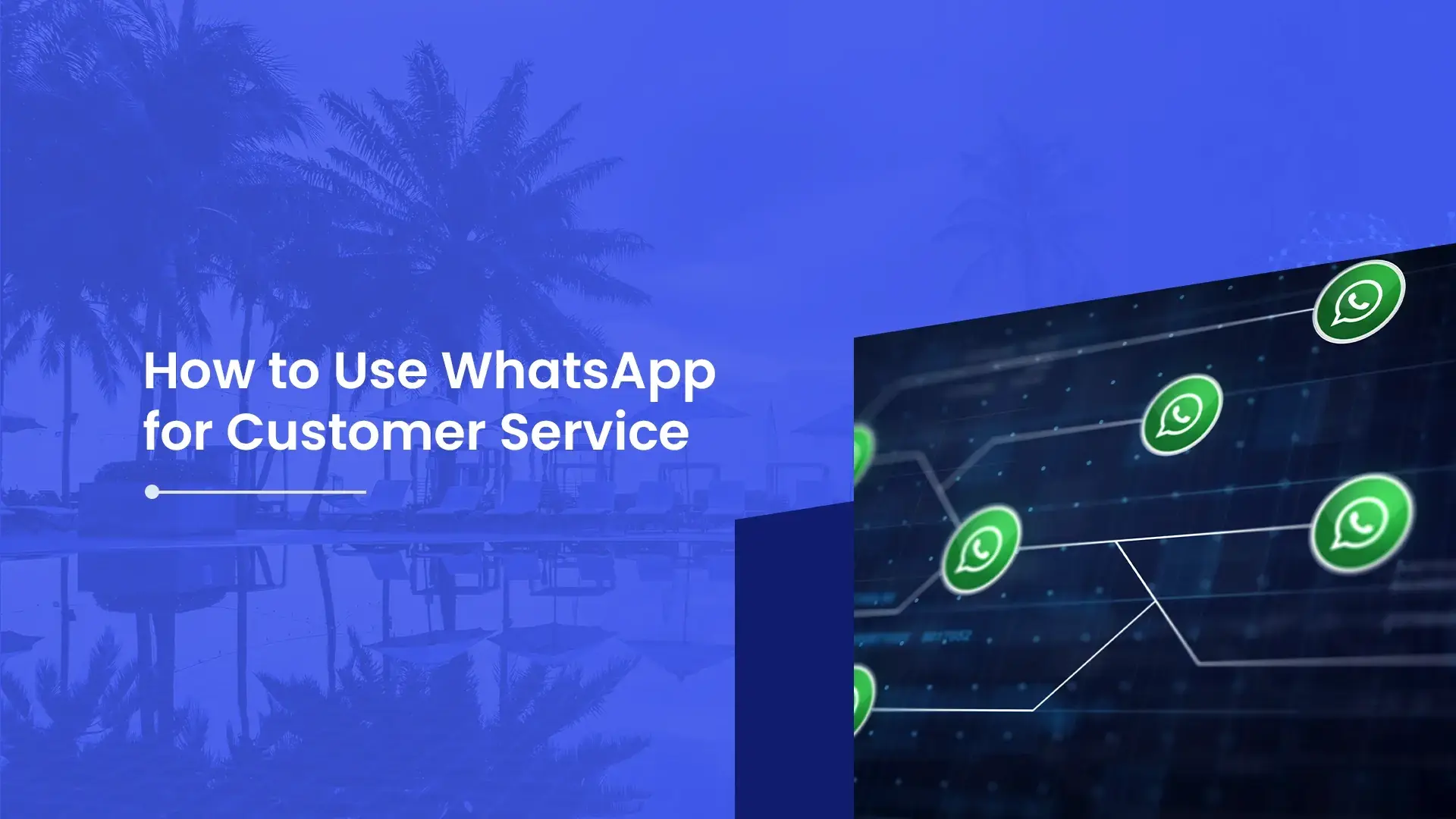 WhatsApp for Customer Service